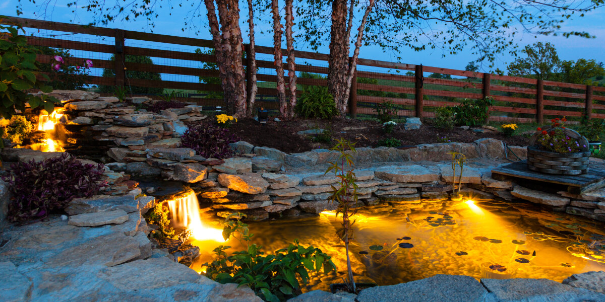 Creating Pond Lighting: How to Get Started