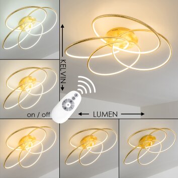 GLEN ceiling light LED gold, 1-light source, Remote control