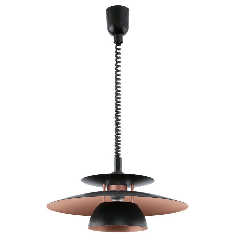 Eglo BRENDA pendant light black, 1-light source