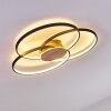 Skanes Ceiling Light LED black, 1-light source