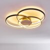 Skanes Ceiling Light LED black, 1-light source