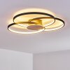 Skanes Ceiling Light LED black, 1-light source