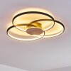 Skanes Ceiling Light LED black, 1-light source