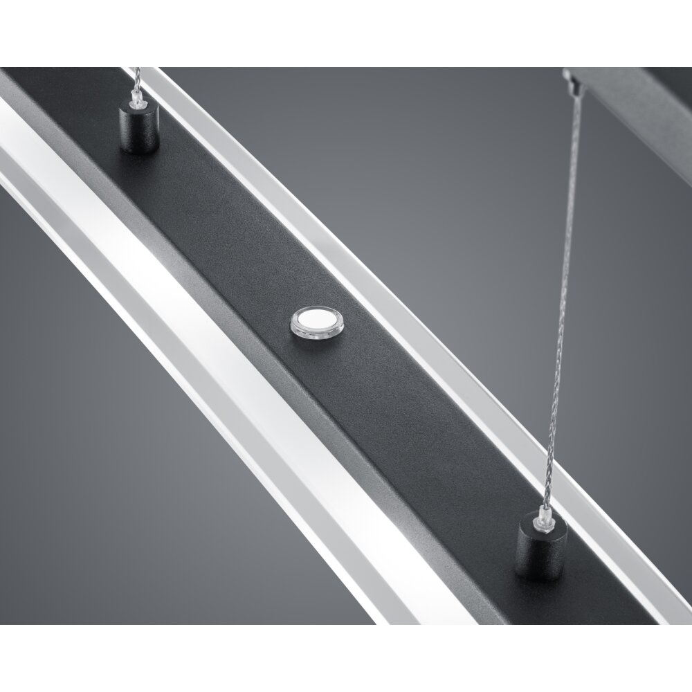 Reality SAMOS Pendant Light LED black, 4-light sources