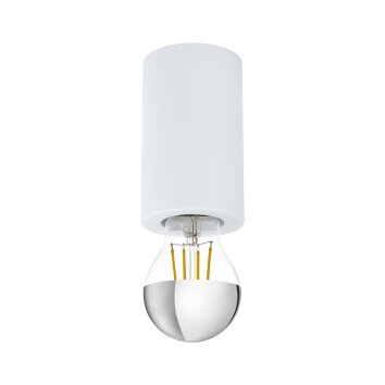 Eglo SALUZZO light white, 1-light source