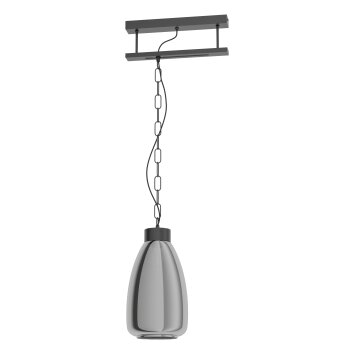 Eglo BRICKFIELD Pendant Light black, 1-light source