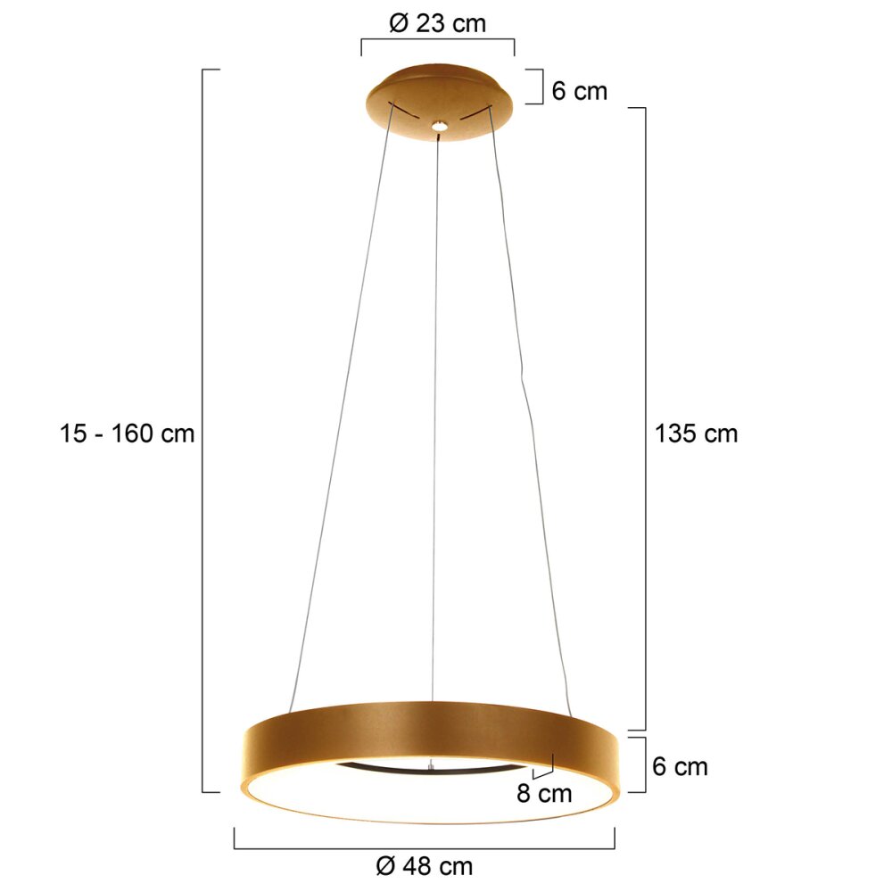 Steinhauer RINGLEDE Pendant Light gold, white, 1-light source