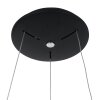 Steinhauer RINGLEDE Pendant Light black, white, 1-light source