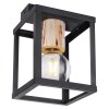 Globo HAGAR Ceiling Light black, 1-light source