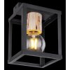 Globo HAGAR Ceiling Light black, 1-light source