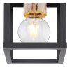 Globo HAGAR Ceiling Light black, 1-light source