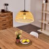 FLANSUM Pendant Light black, 1-light source