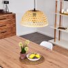 FLANSUM Pendant Light black, 1-light source