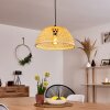 FLANSUM Pendant Light black, 1-light source