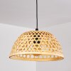 FLANSUM Pendant Light black, 1-light source