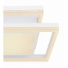 Globo SQUARES Ceiling Light LED white, 1-light source