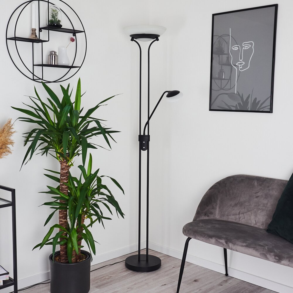 Mairoa Floor Lamp LED black, 2-light sources