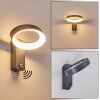 Carinola Outdoor Wall Light LED anthracite, 1-light source, Motion sensor