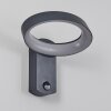 Carinola Outdoor Wall Light LED anthracite, 1-light source, Motion sensor