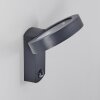 Carinola Outdoor Wall Light LED anthracite, 1-light source, Motion sensor