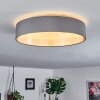 Elsa Ceiling Light LED white, 1-light source