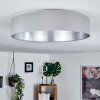 Elsa Ceiling Light LED white, 1-light source