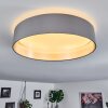 Elsa Ceiling Light LED white, 1-light source