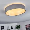 Elsa Ceiling Light LED white, 1-light source