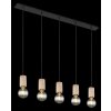 Globo JOSEBA Pendant Light black, 5-light sources