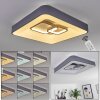 Gabbiana Ceiling Light LED grey, white, 1-light source, Remote control