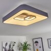 Gabbiana Ceiling Light LED grey, white, 1-light source, Remote control