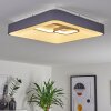 Gabbiana Ceiling Light LED grey, white, 1-light source, Remote control