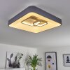 Gabbiana Ceiling Light LED grey, white, 1-light source, Remote control