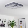 Gabbiana Ceiling Light LED grey, white, 1-light source, Remote control