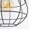 Alafe Pendant Light black, 1-light source