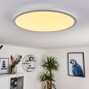 Sani Ceiling Light LED white, 1-light source, Remote control