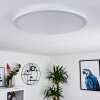 Sani Ceiling Light LED white, 1-light source, Remote control