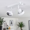 Chagres Ceiling Light white, 2-light sources