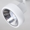 Chagres Ceiling Light white, 2-light sources