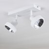 Chagres Ceiling Light white, 2-light sources