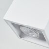 Karaka Ceiling Light white, 3-light sources