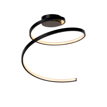 Lucide MAXENCE Ceiling Light LED black, 1-light source