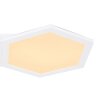 Globo LEANARA Ceiling Light LED white, 1-light source