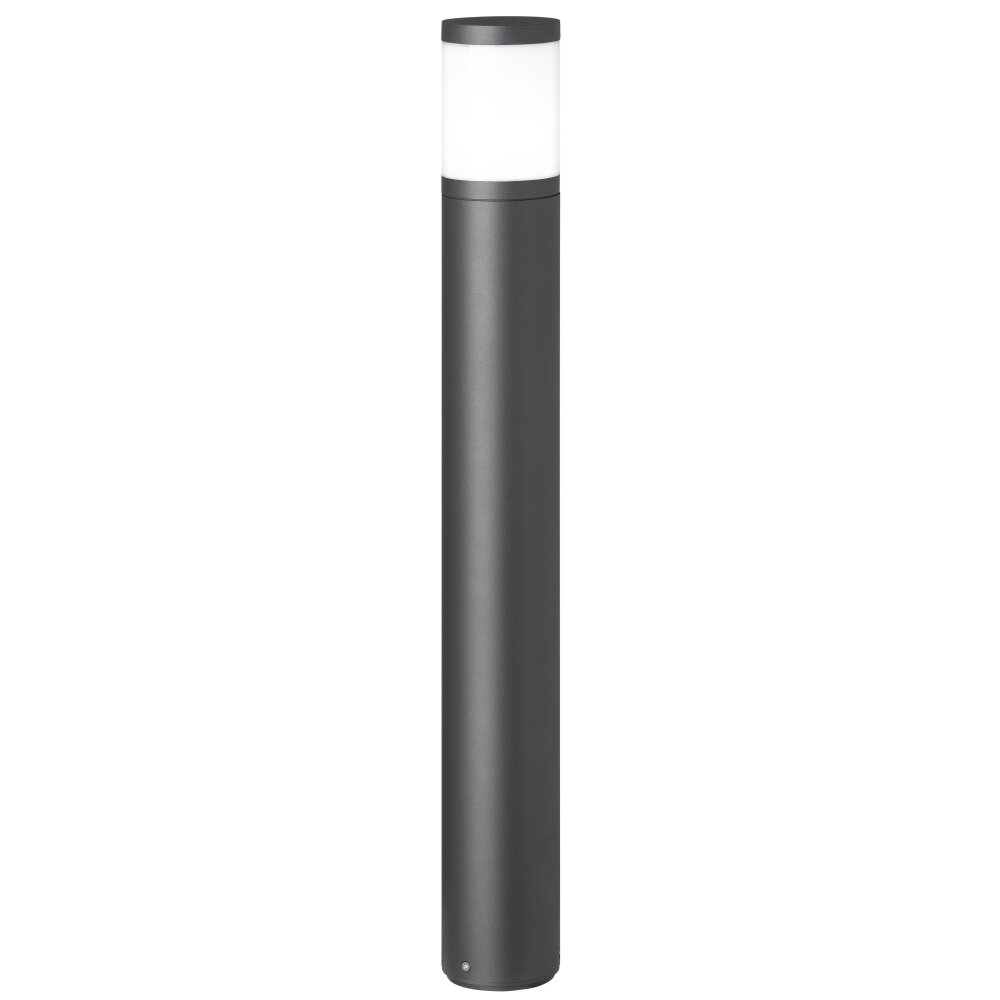 LCD 5059 path light black, 1-light source