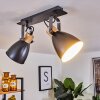 Elm Ceiling Light anthracite, Light wood, 2-light sources