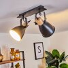 Elm Ceiling Light anthracite, Light wood, 2-light sources