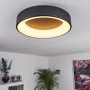 Pine Ceiling Light LED black, 1-light source