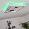 Fitili Ceiling Light LED black, white, 1-light source, Remote control, Colour changer