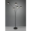 Reality Dito Floor Lamp black, 5-light sources