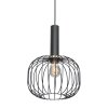 Steinhauer Aureole Pendant Light black, 1-light source